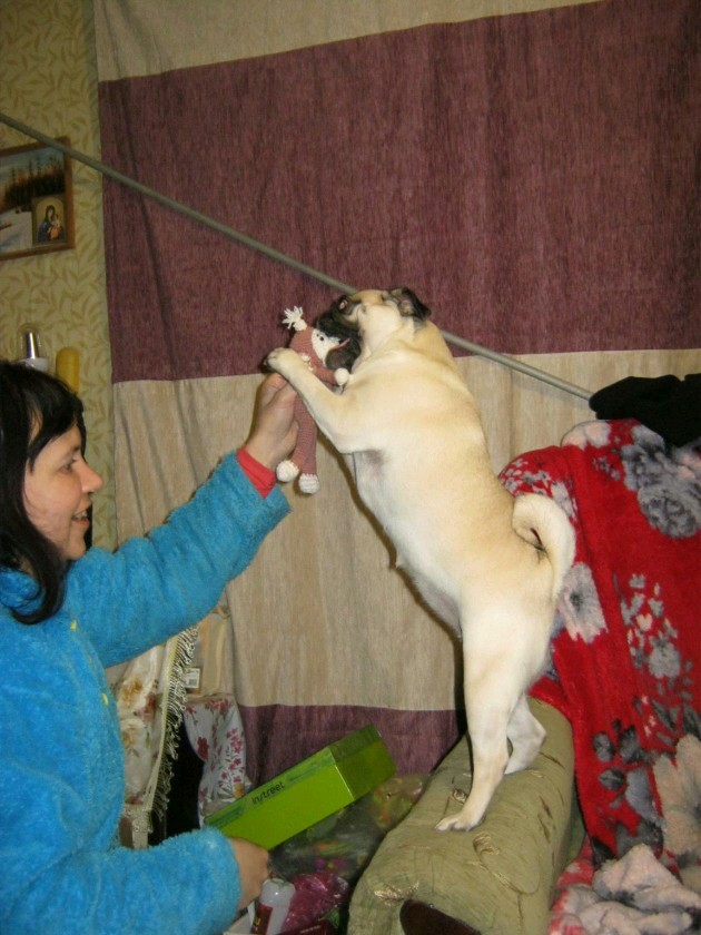и обезьяна_1.jpg